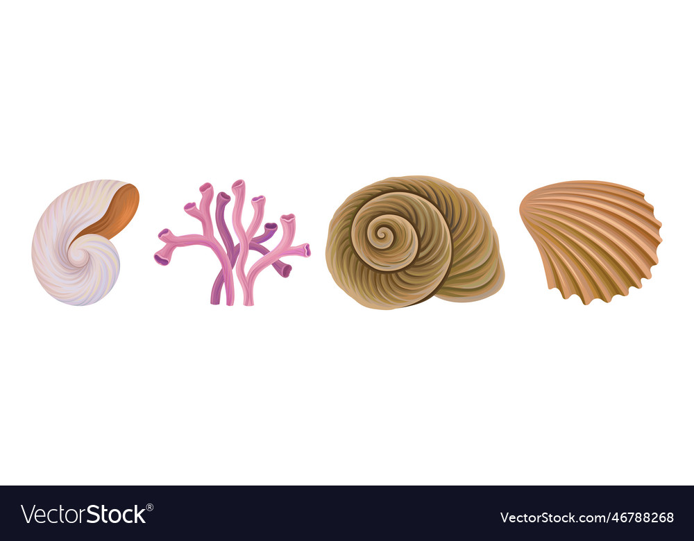 Sea shell and coral as aquatic object set vector image Sea shell and coral as aquatic object set