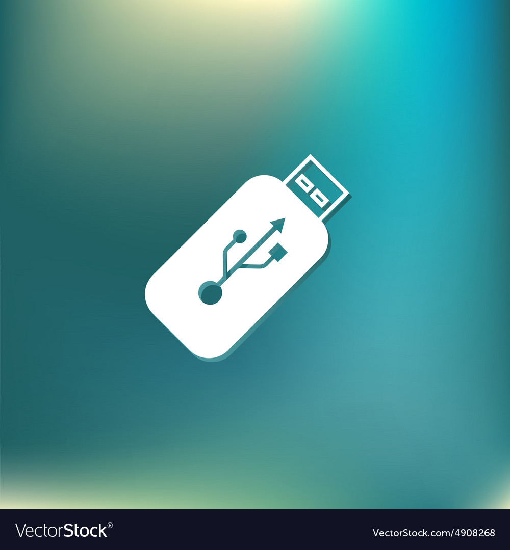 Usb flash icon disk