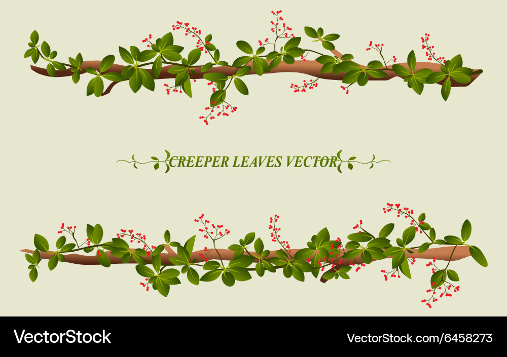 Border of creeper flower Royalty Free Vector Image