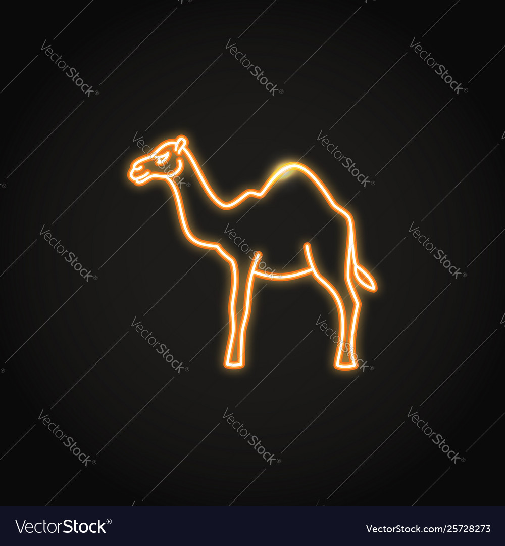 Camel animal icon in glowing neon style Royalty Free Vector