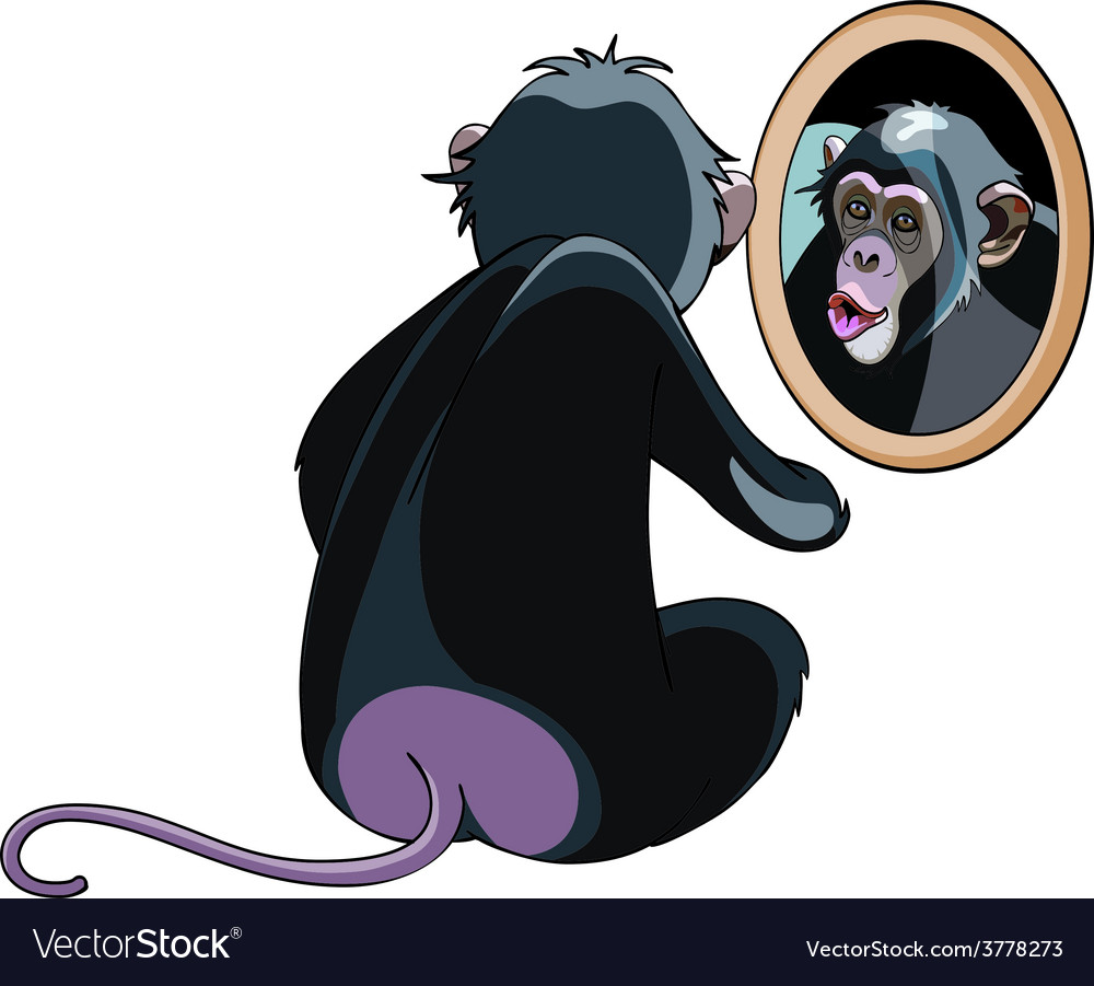 Cartoon monkey looking in mirror Royalty Free Vector Image