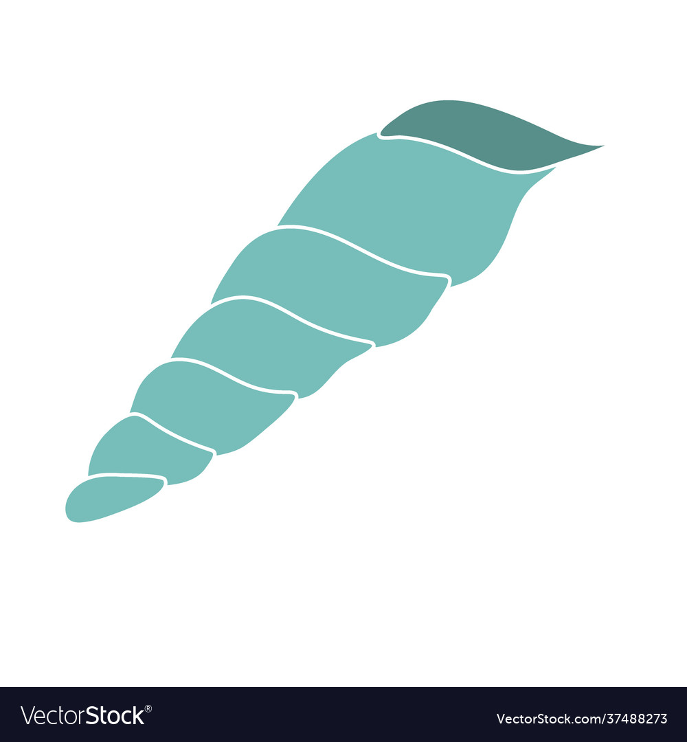 Long coral shell on an isolated background