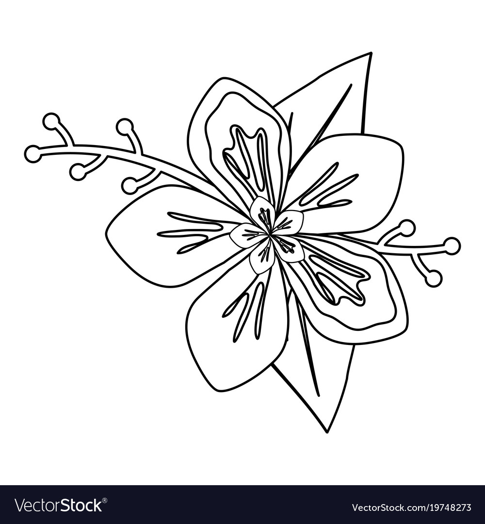 Rustic floral design Royalty Free Vector Image