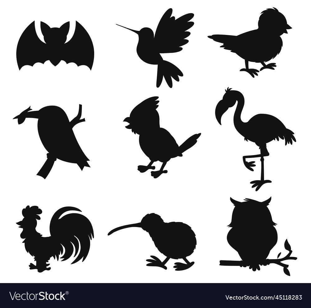 Collections of various type birds flat