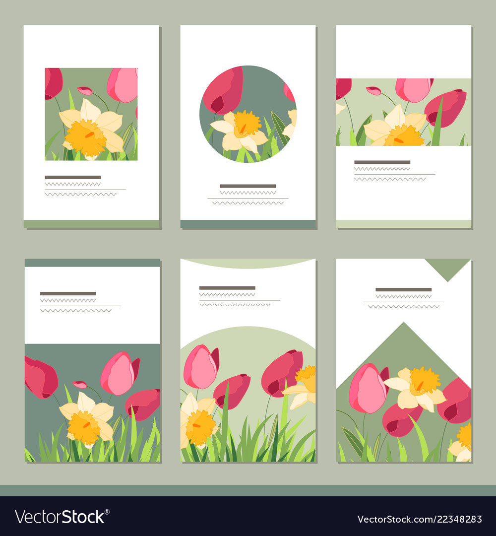 set with six floral romantic templates tulips vector image