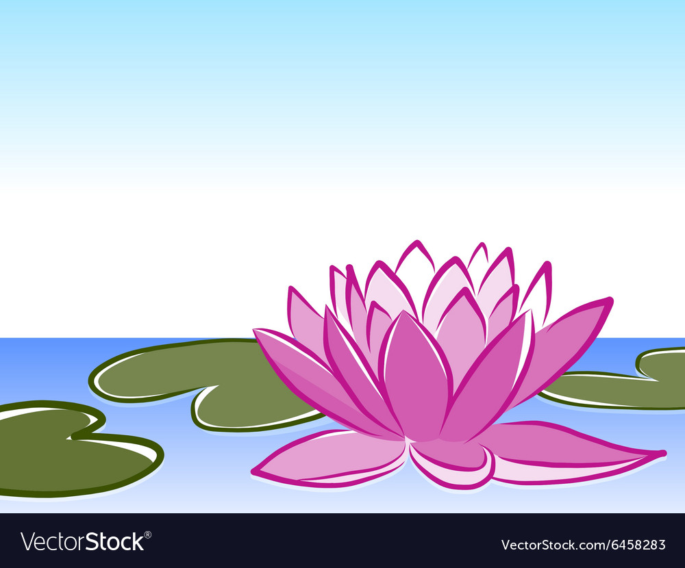 Waterlily Royalty Free Vector Image - VectorStock