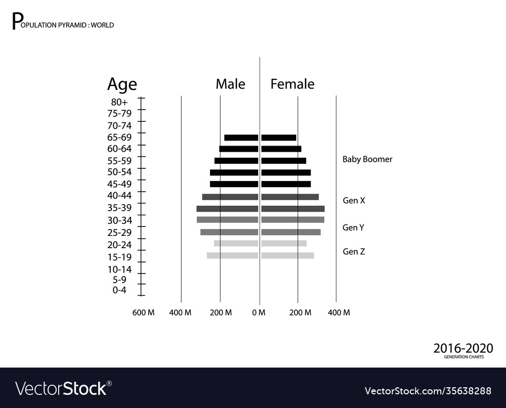 2016-2020 population pyramids graphs with 4 genera
