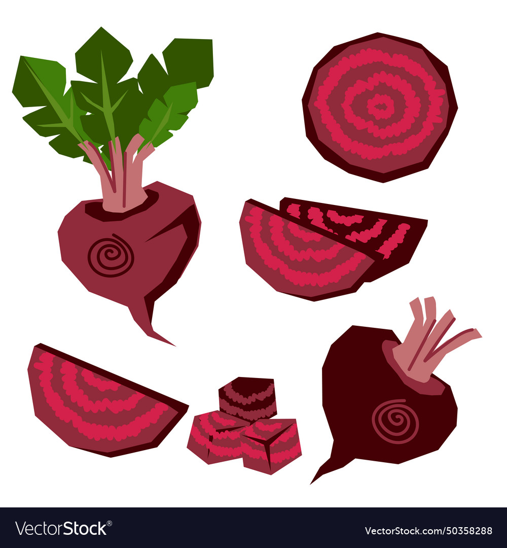 Beets nutritious root vegetable design elements vector image Beets nutritious root vegetable design elements