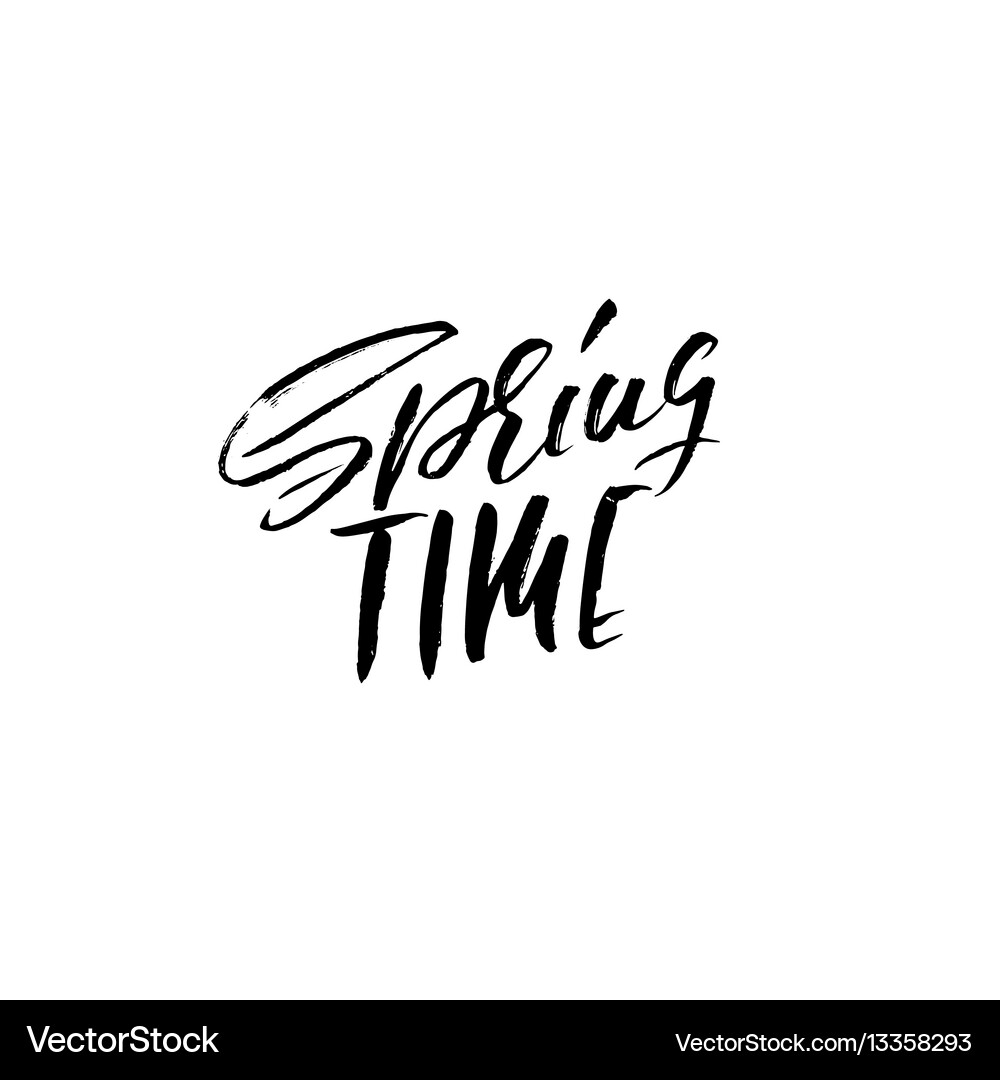 Hand lettered style spring design on a white Vector Image