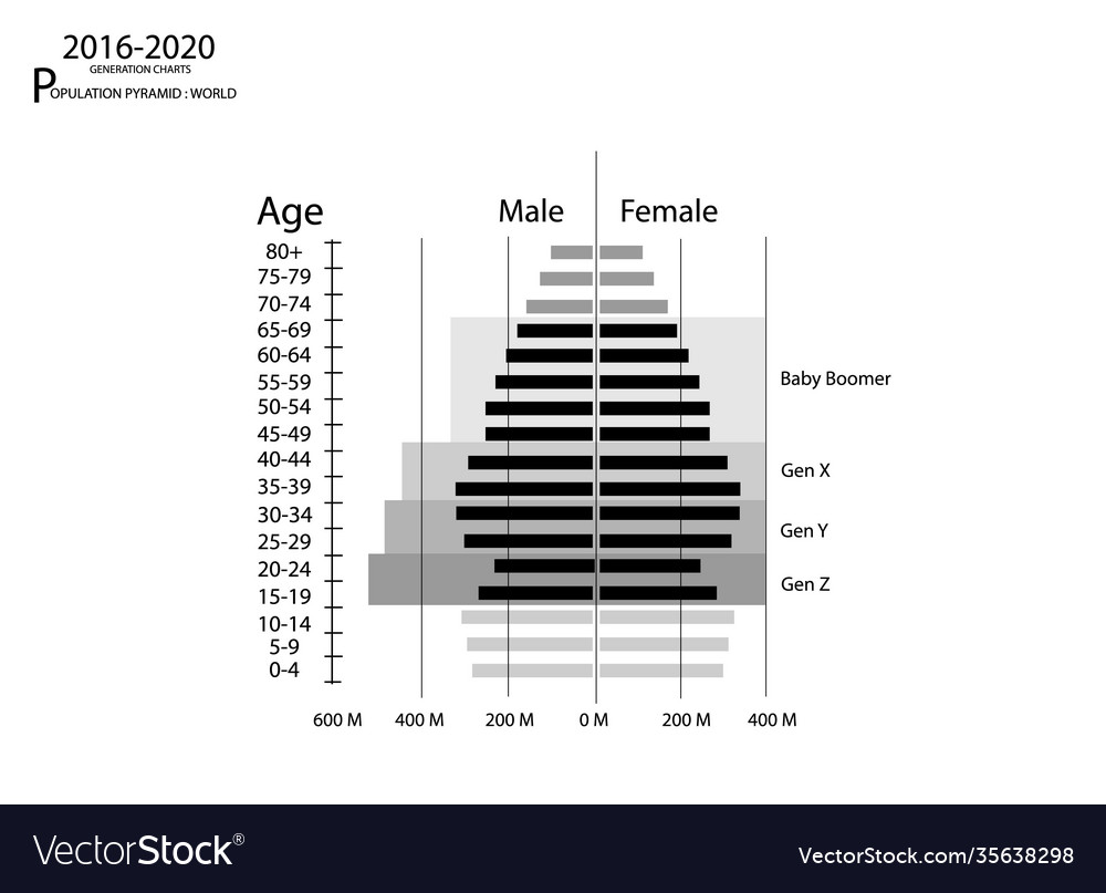 2016-2020 population pyramids graphs with 4 genera Vector Image 2016-2020 population pyramids graphs with 4 genera