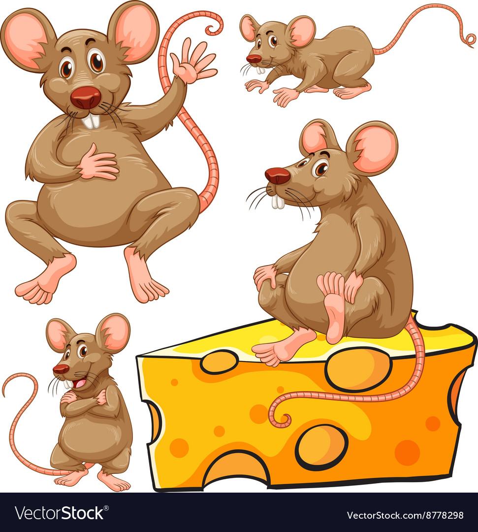 Brown mouse and cheese slice Royalty Free Vector Image