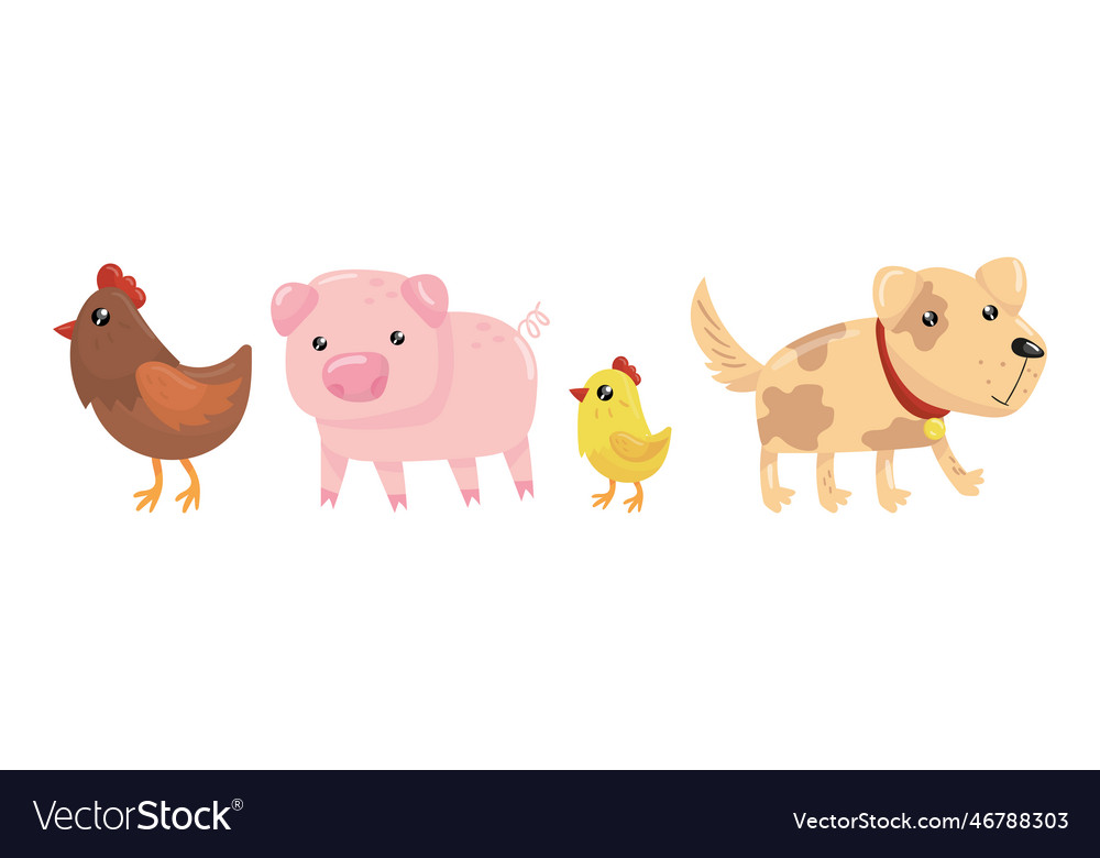 Farm animal with hen pig chick and dog