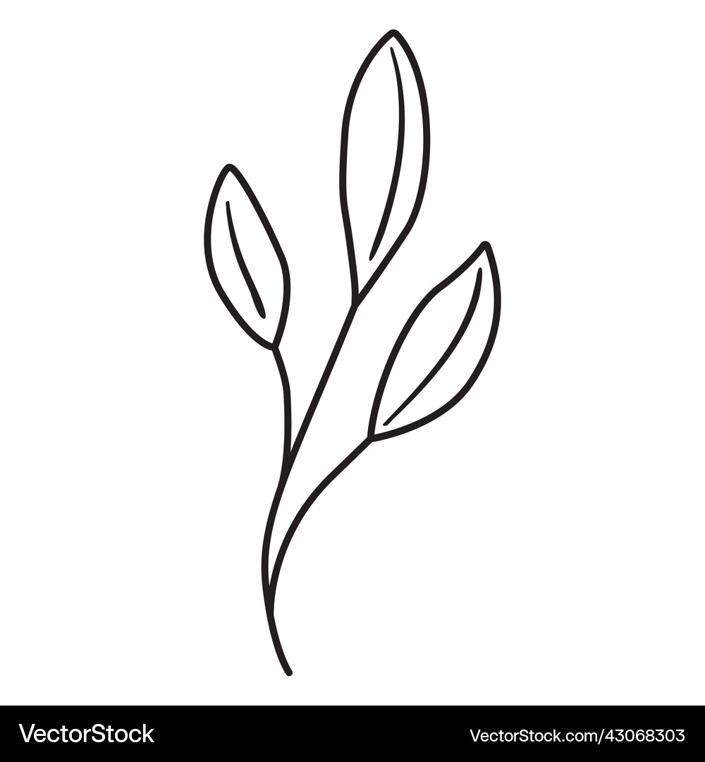 Spring leaves thin stroke Royalty Free Vector Image