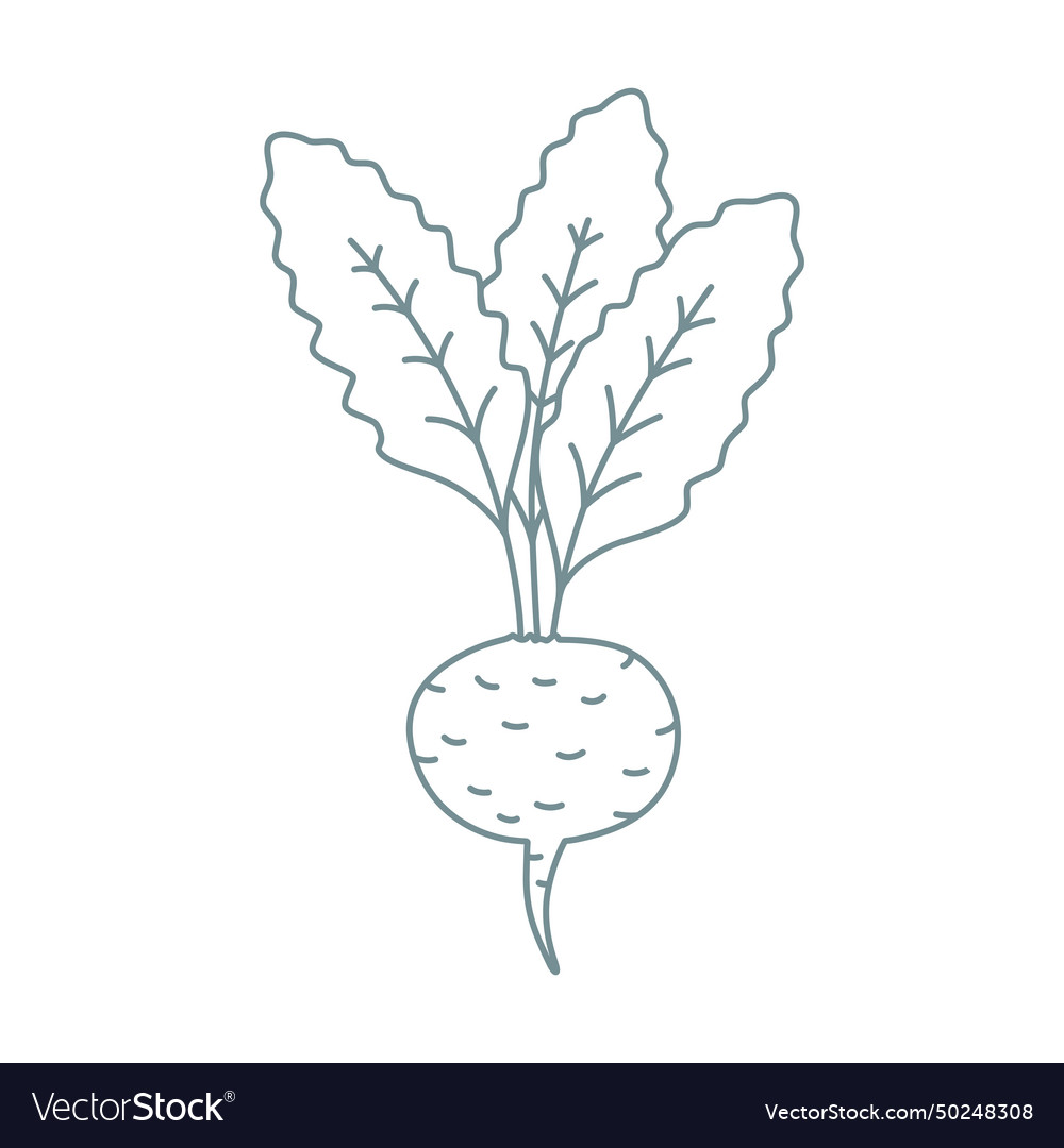 Beetroot outline icon doodle