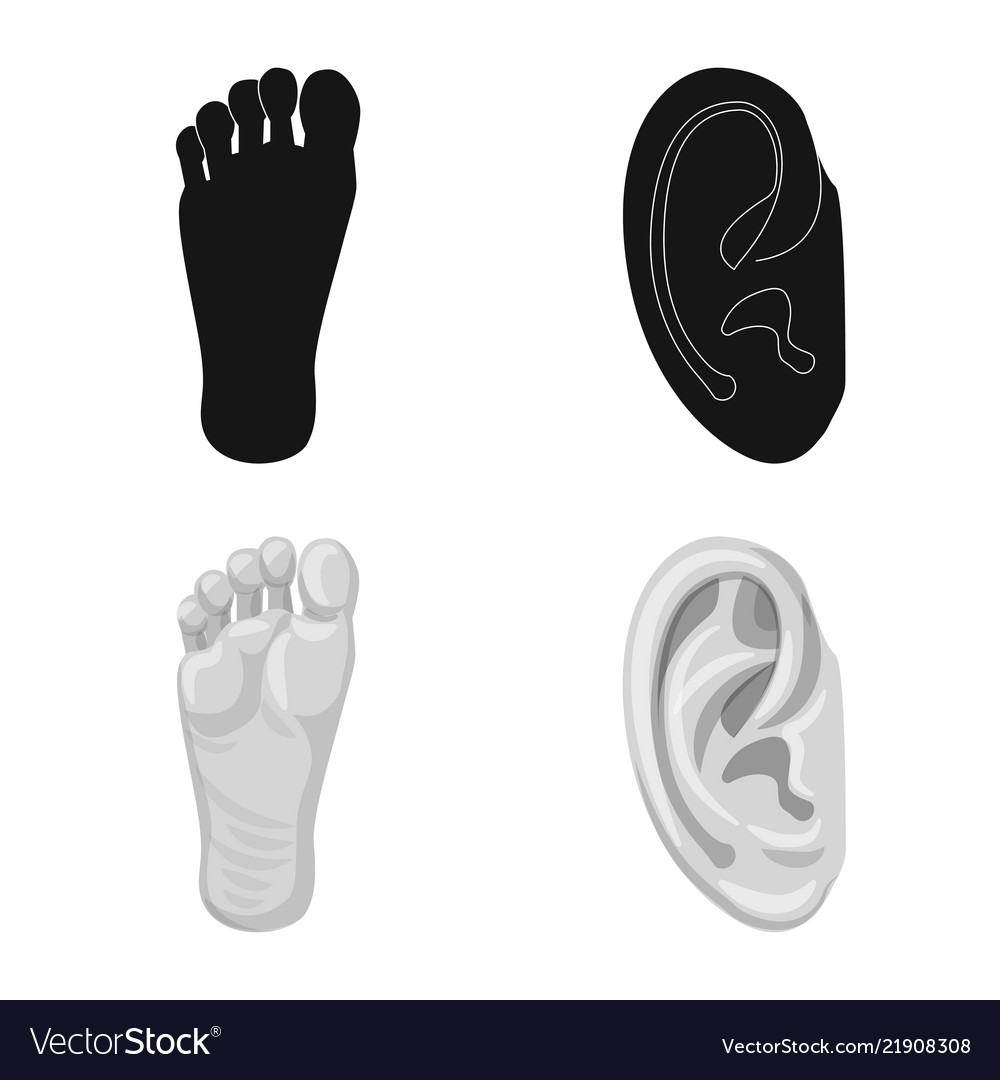 Isolated object of human and part symbol