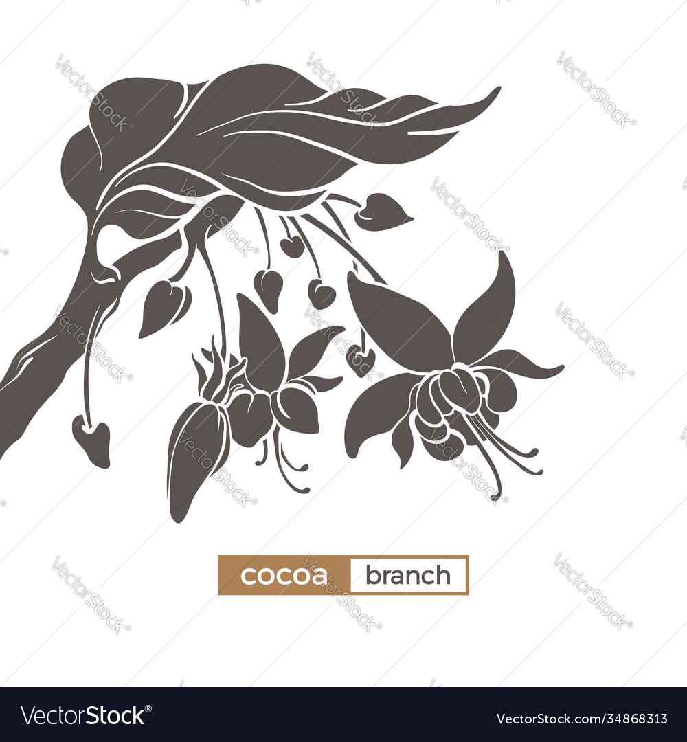 Icon cocoa tree branch