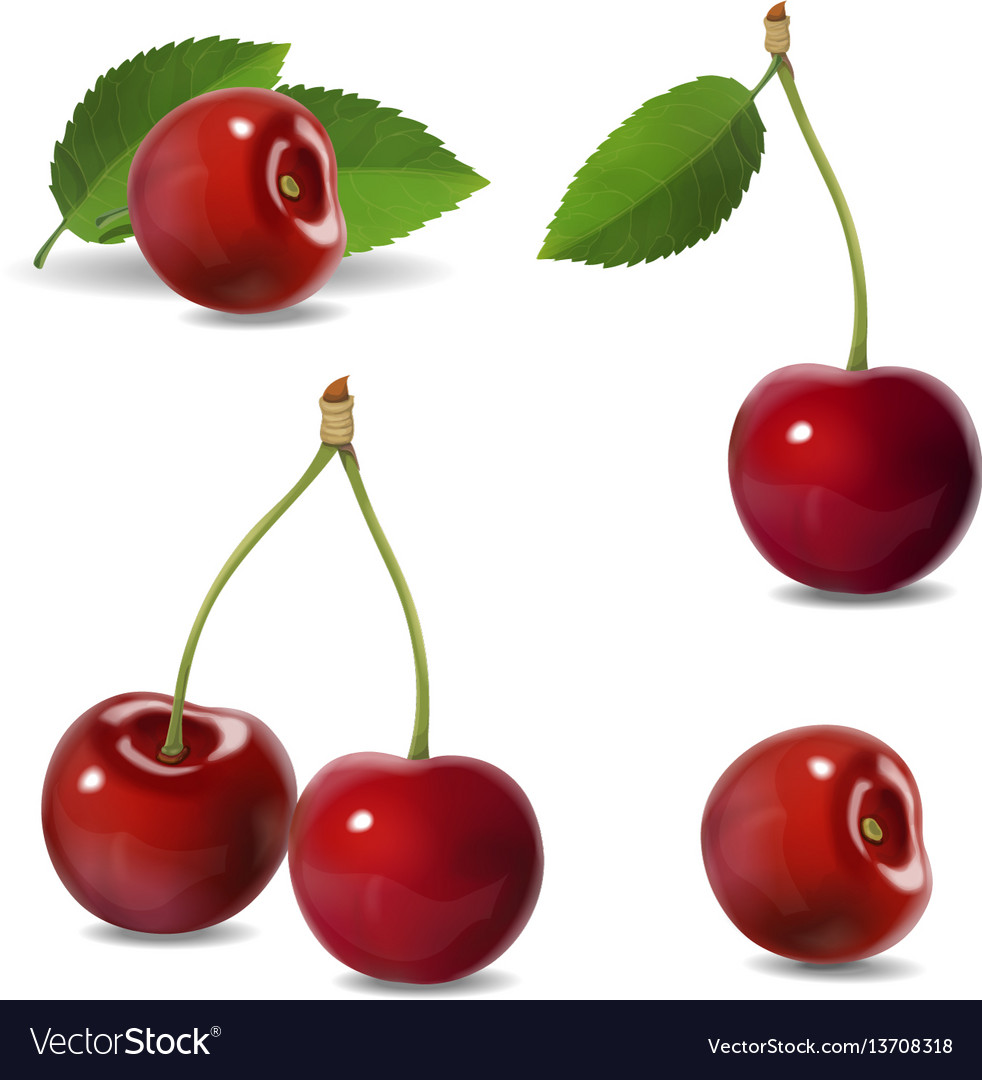 Cherry realistic fruit icons Royalty Free Vector Image