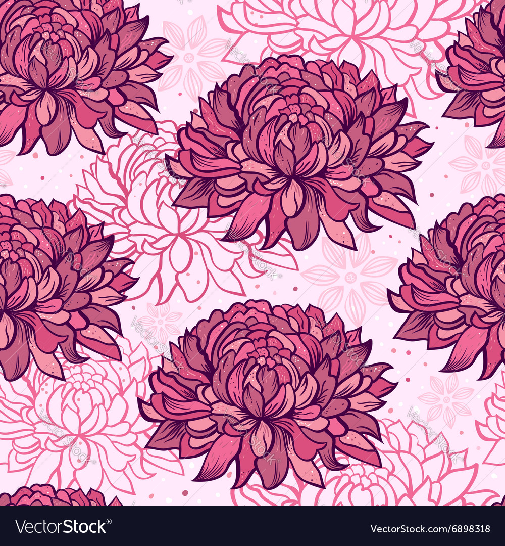 Chrysanthemums Royalty Free Vector Image - VectorStock