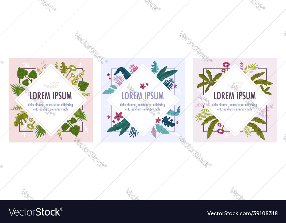 Exotic frame plants set