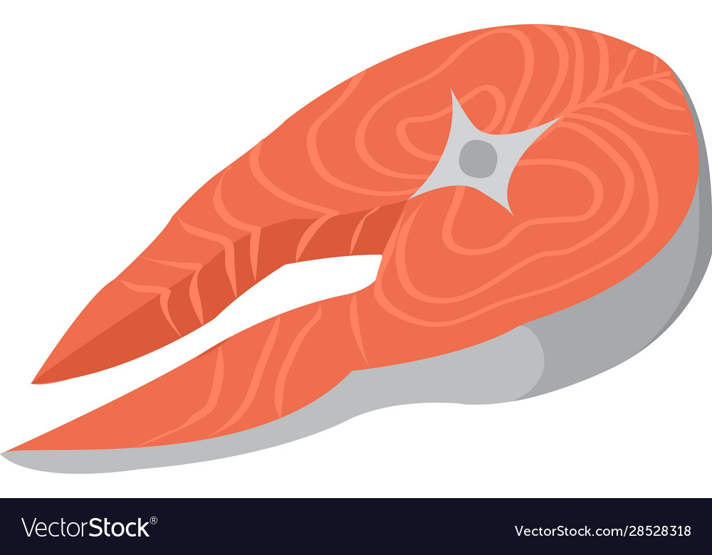 Slice a salmon fish raw prepared for cooking Vector Image