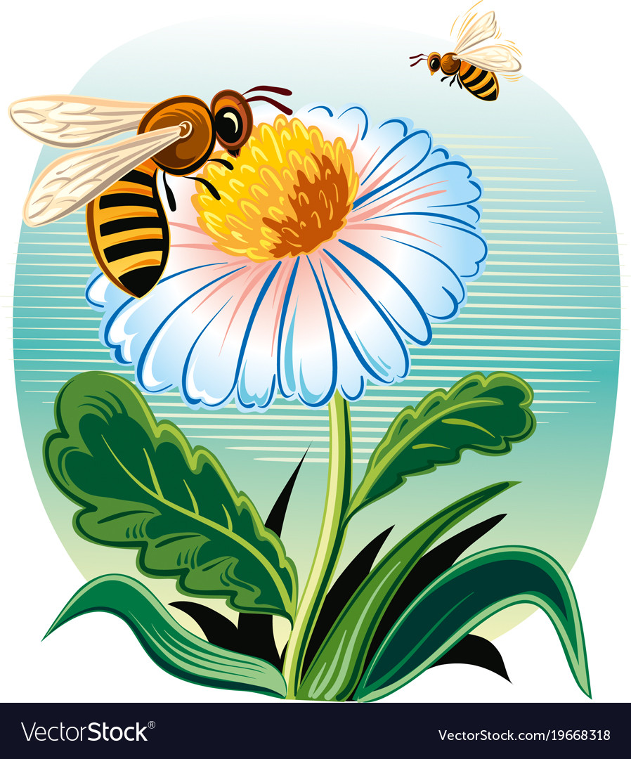 Worker bee Royalty Free Vector Image - VectorStock