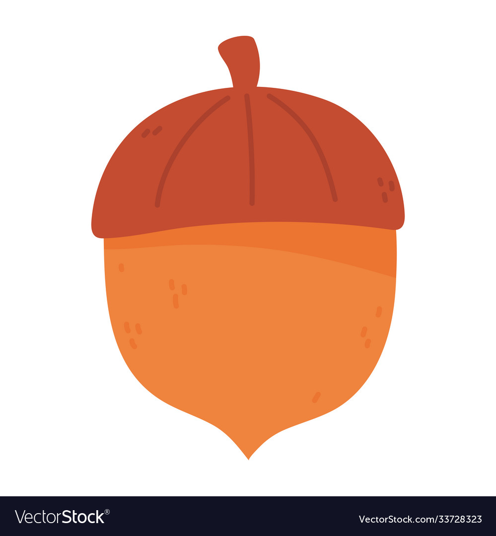 Autumnal acorn nut nature food isolated icon style