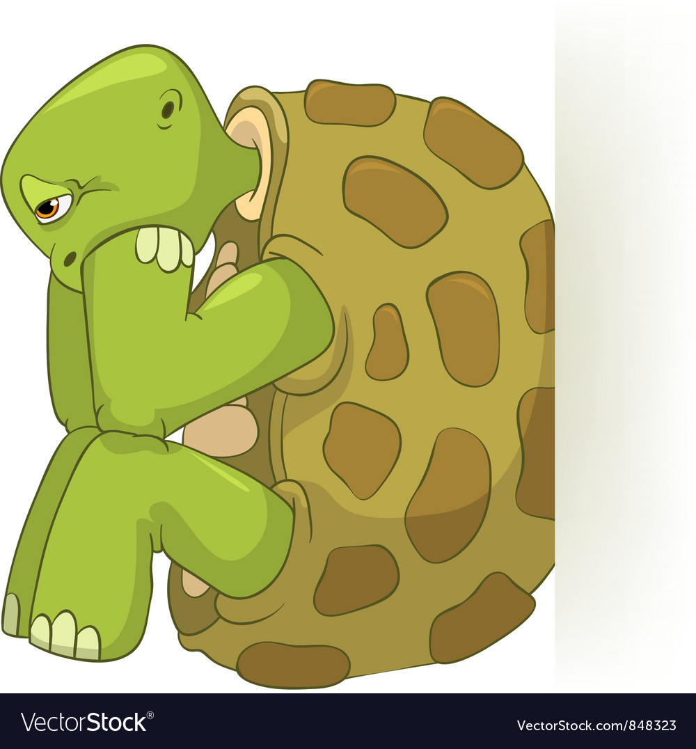Funny turtle confusion Royalty Free Vector Image Funny turtle confusion Royalty Free Vector Image