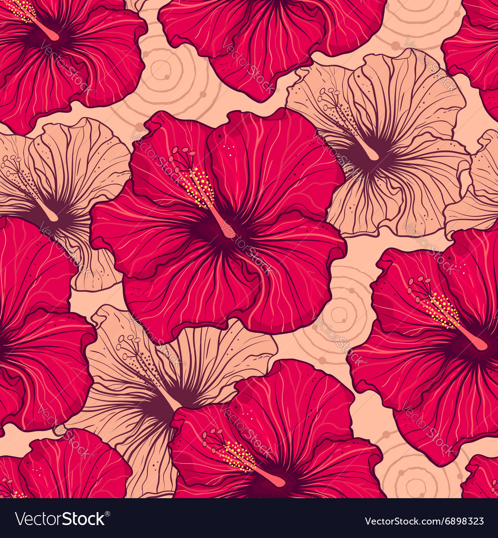 Hibiscus Flowers Royalty Free Vector Image Vectorstock