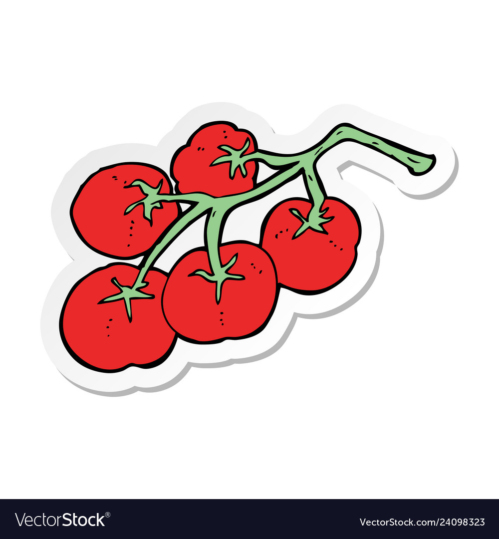Sticker of a tomatoes on vine