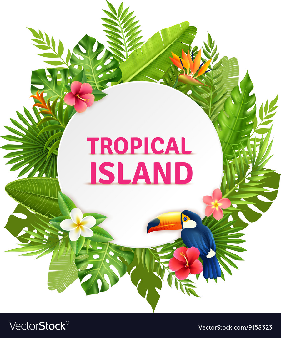 Tropical Island Flora And Toucan Frame Royalty Free Vector Tropical Island Flora And Toucan Frame Vector Image