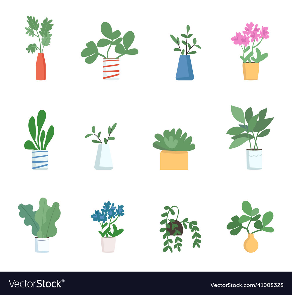 Houseplants flat color objects set decorative