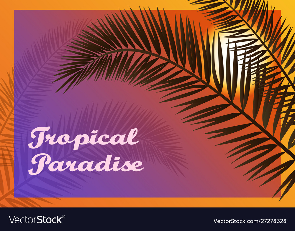Labels with palms Vector Image Labels with palms