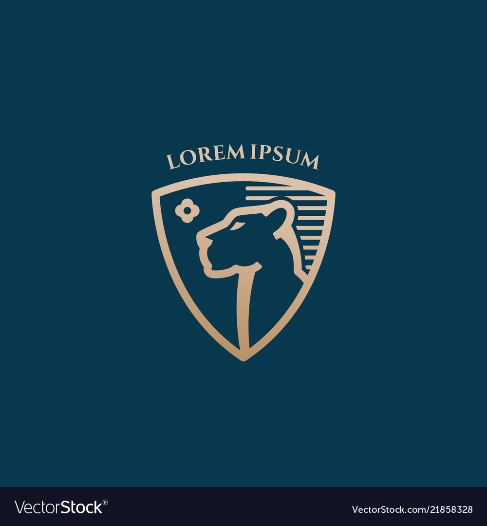 Lioness face in a shield line style abstract vector image Lioness face in a shield line style abstract
