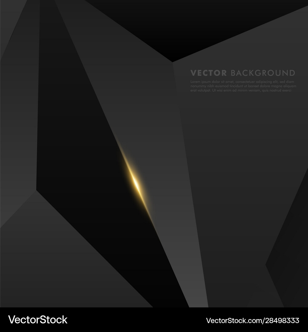 Abstract black background gray polygon background Vector Image
