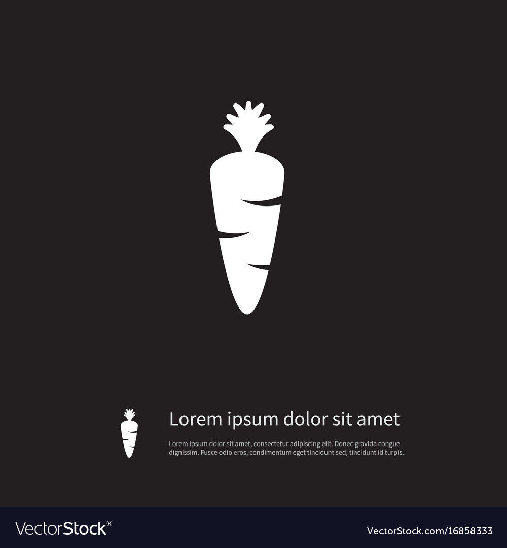 Isolated carrot icon ingredient element