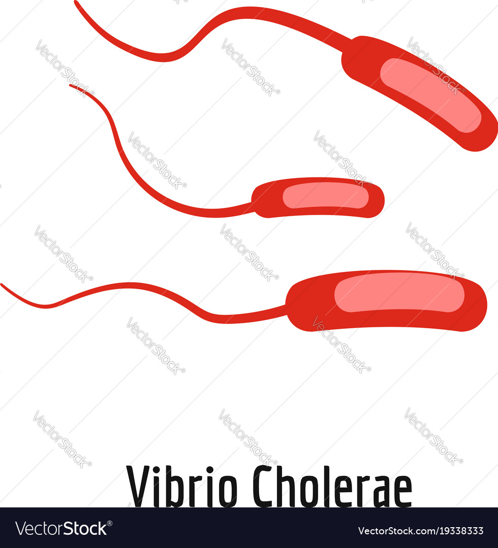 Vibrio cholerae icon cartoon style