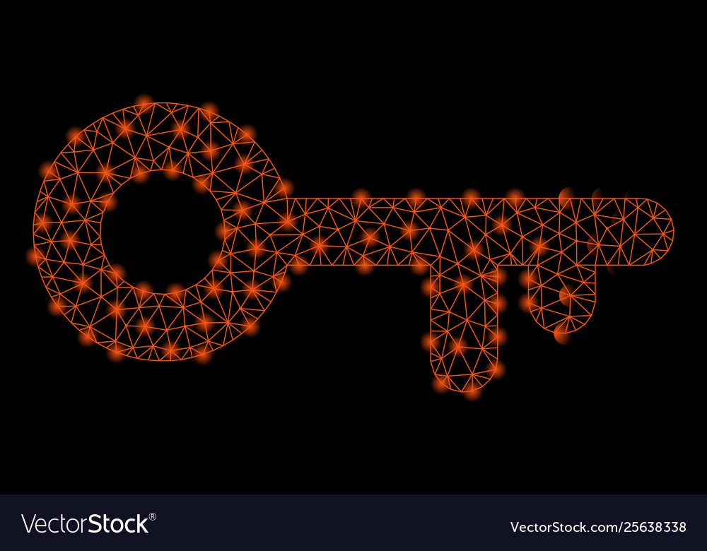 Bright mesh wire frame access key with flash spots vector image Bright mesh wire frame access key with flash spots