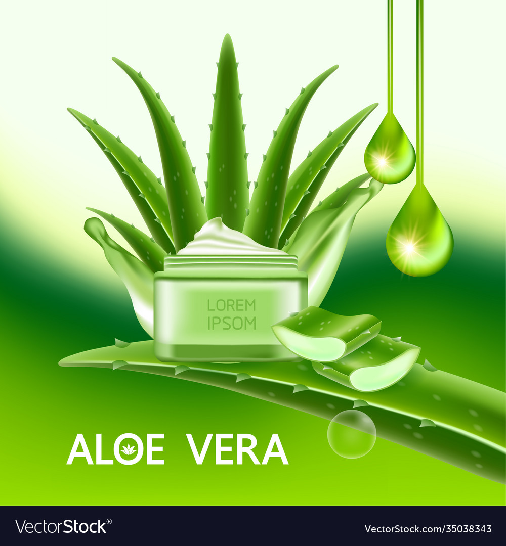 Aloe vera collagen and serum Royalty Free Vector Image