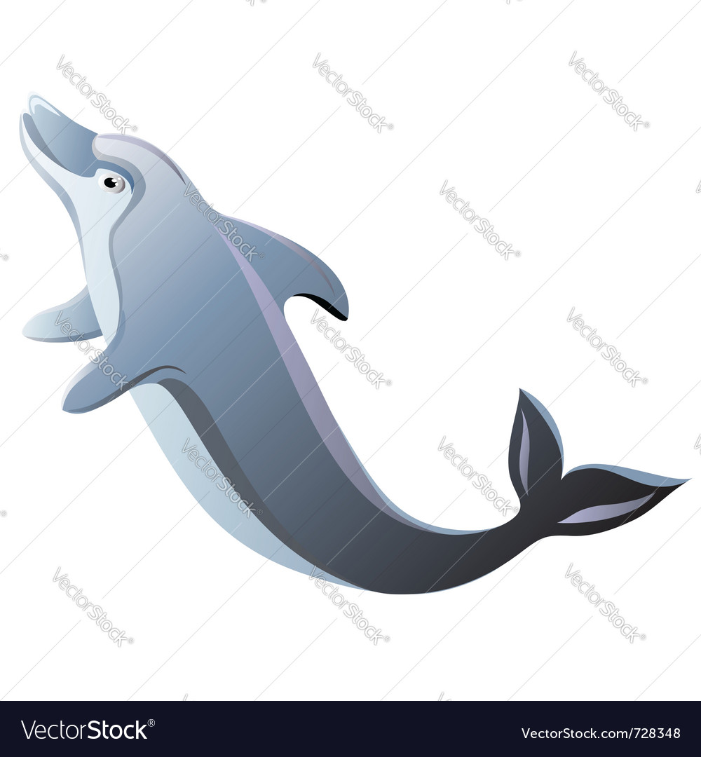 Dolphin isolated