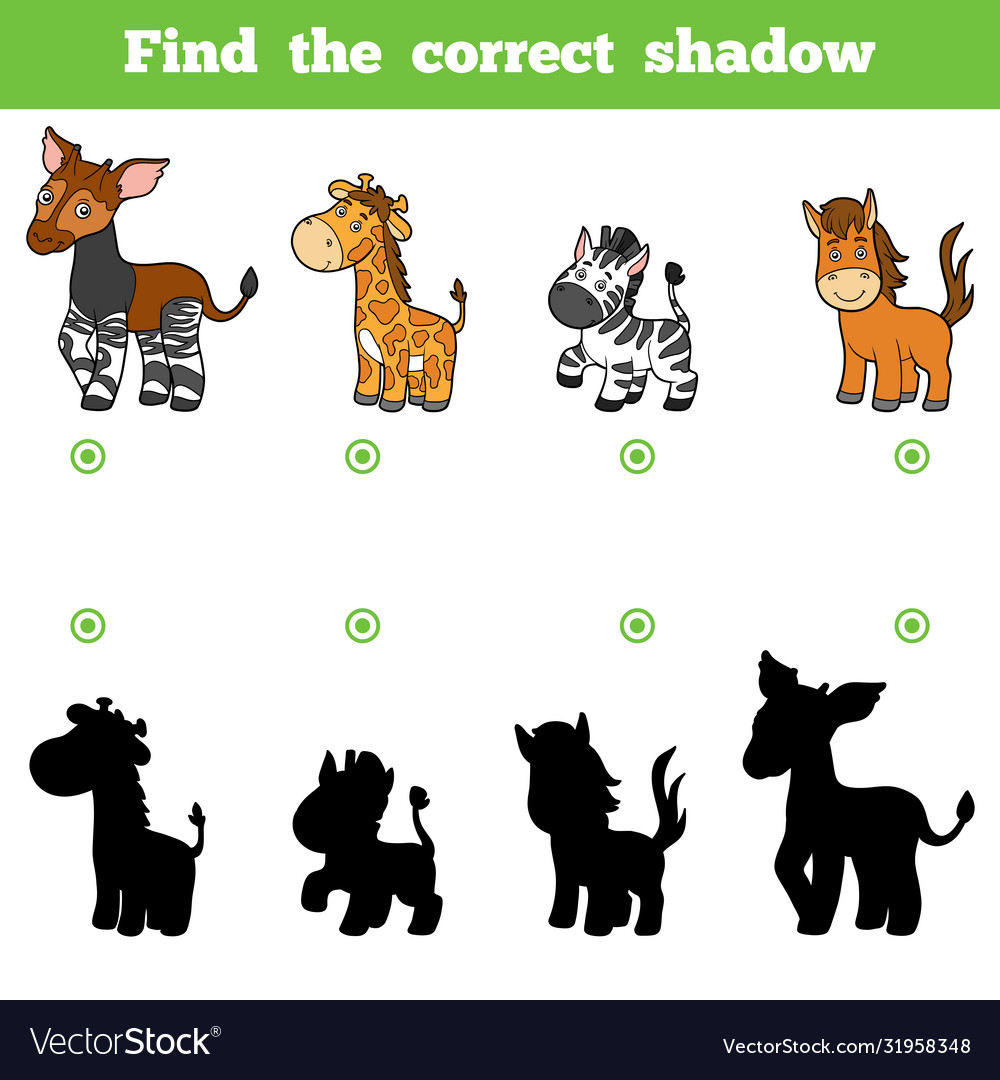 Find correct shadow game for children set Vector Image