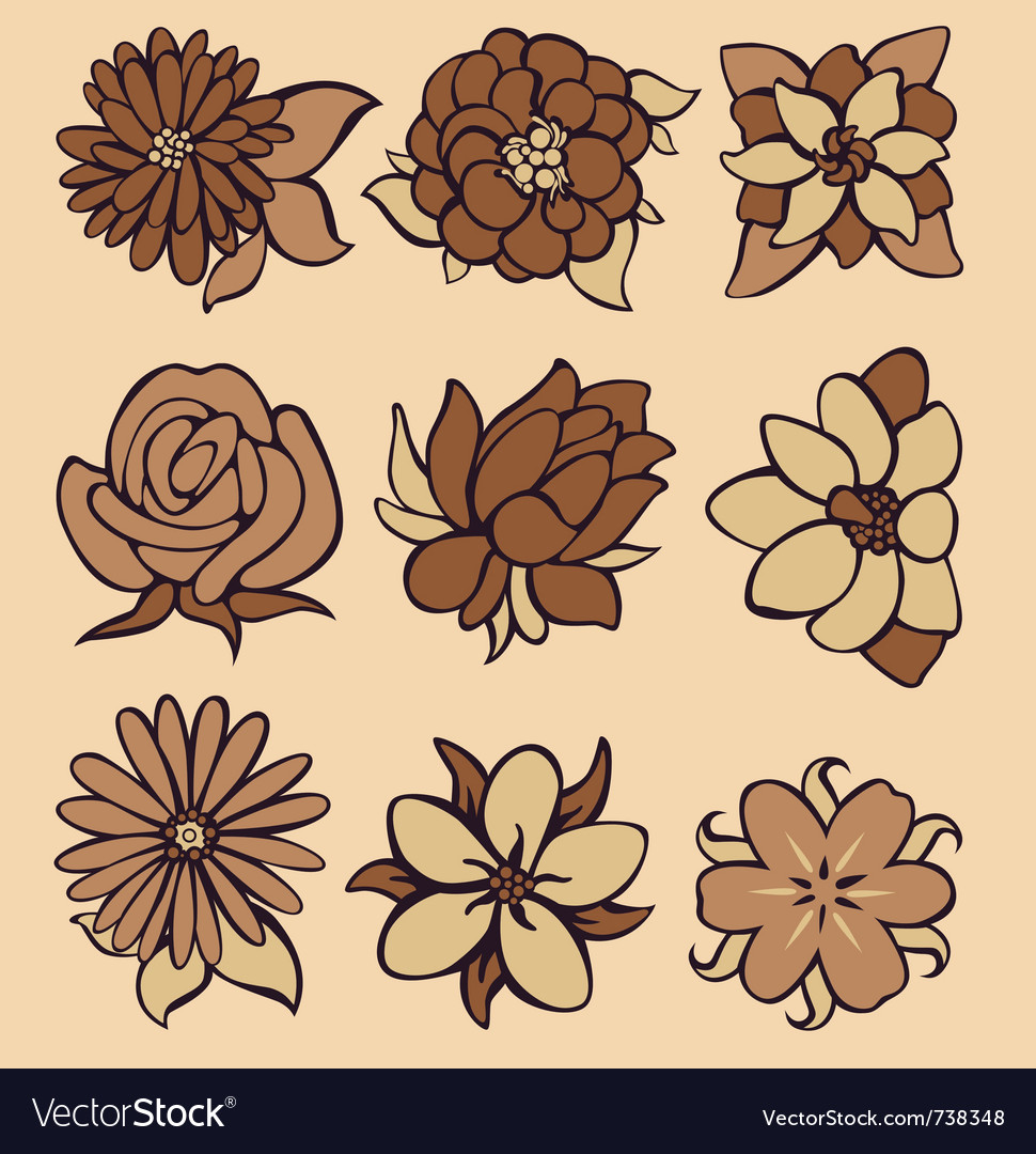 Flower coffee Royalty Free Vector Image - VectorStock