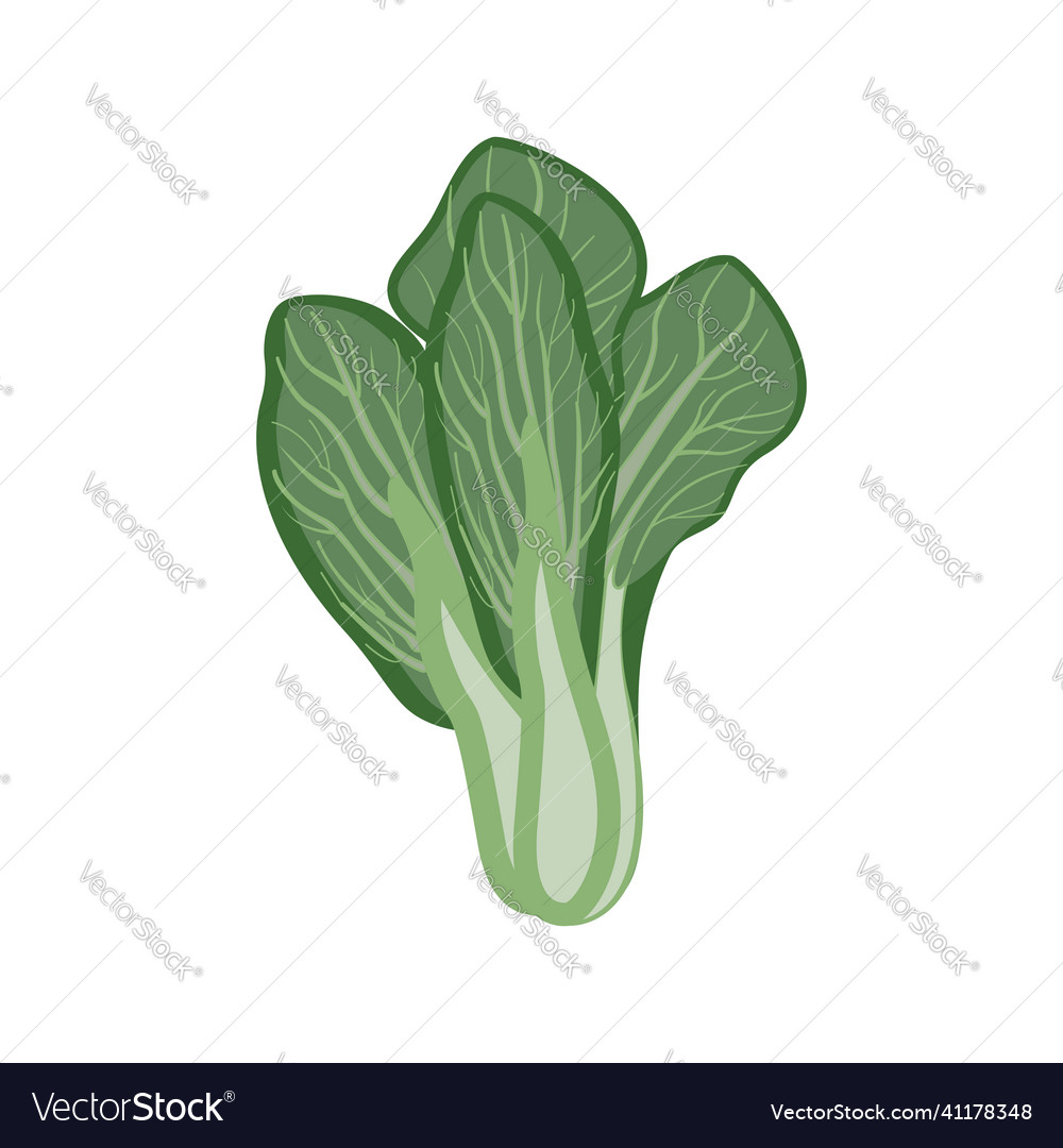 Mustard greens isolated on white background