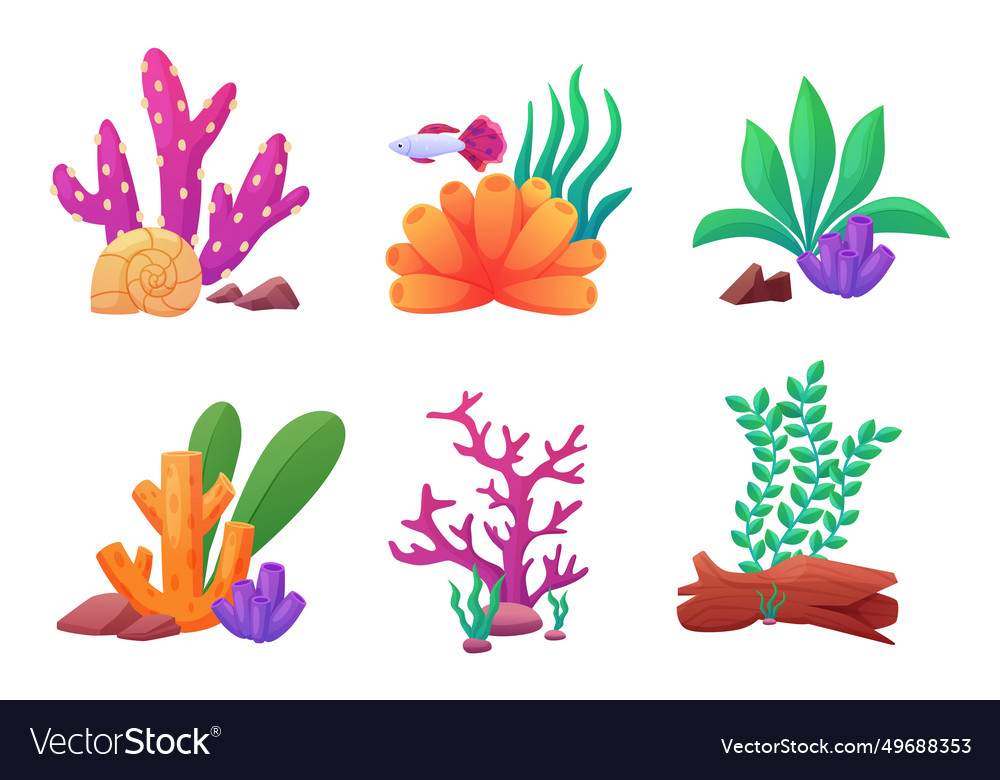 Cartoon aquarium decorations stones shells Vector Image