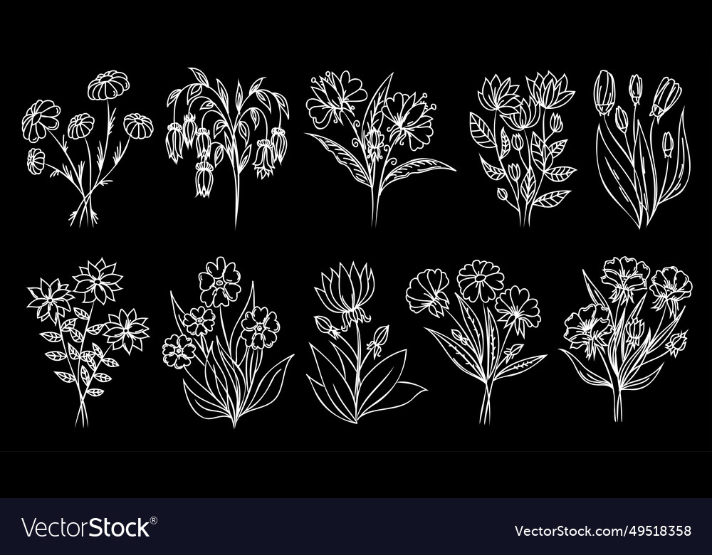 Outline Blumen auf schwarzem Hintergrund