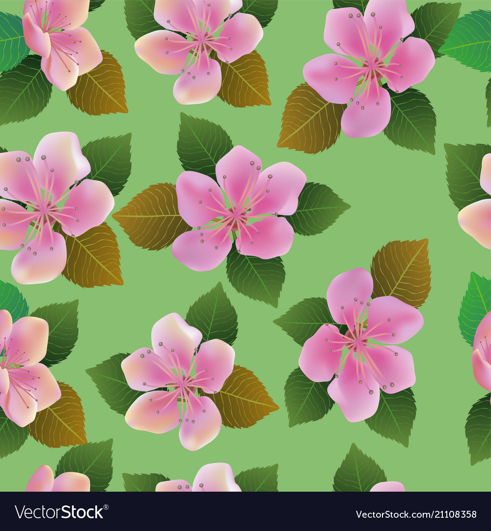 Seamless spring background with white and p Vector Image