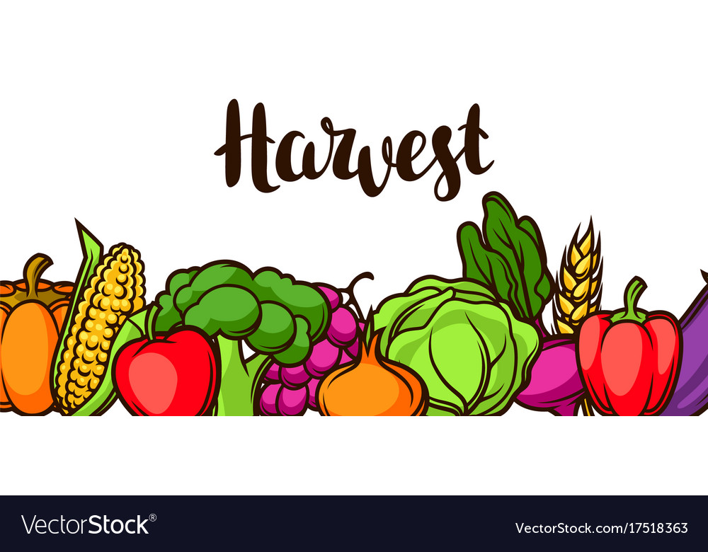 Harvest festival banner autumn with Royalty Free Vector