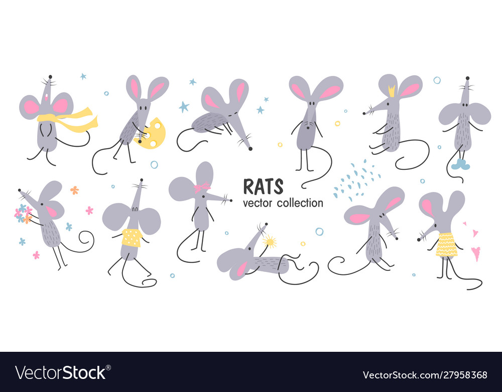 A set hand-drawn funny rats in different poses