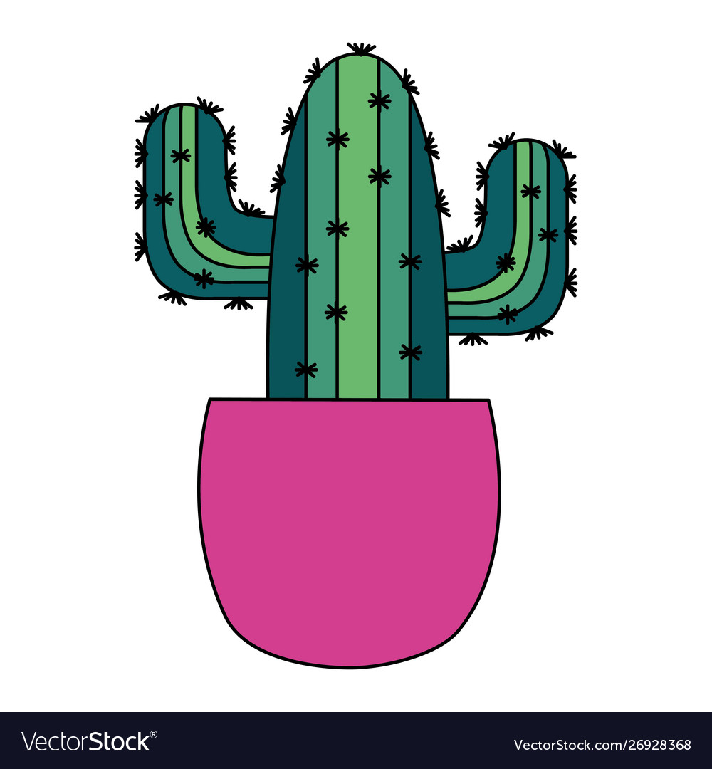 Isolated cactus inside pot design