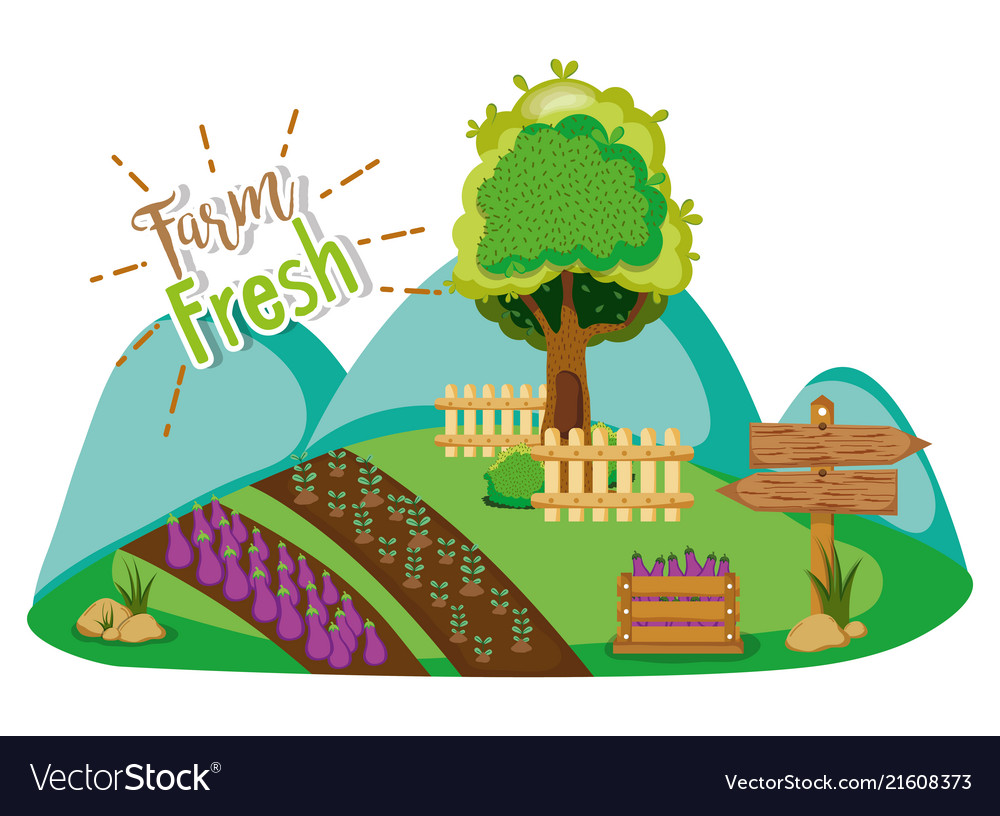 Farm fresh cartoon