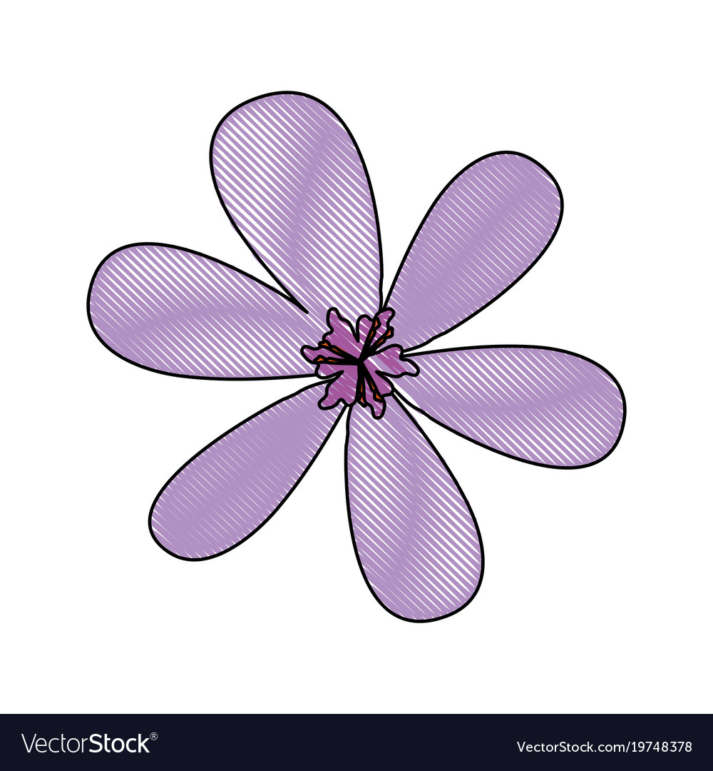 Rustic floral design Royalty Free Vector Image